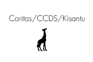 Caritas-CCDS- Kisantu