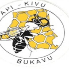 Api-Kivu